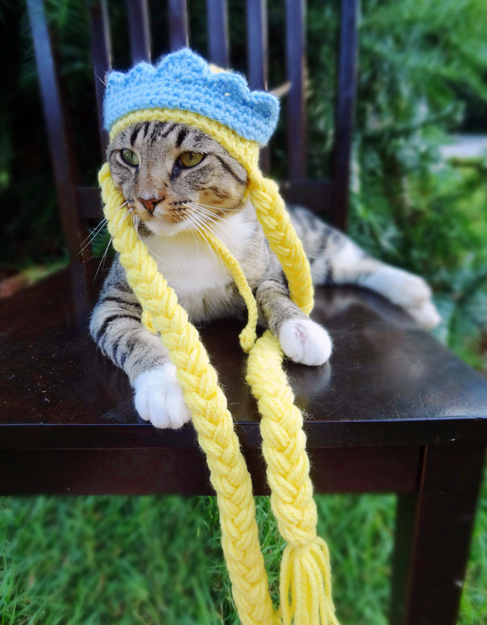 crochet-handmade-hats-pets-iheartneedlework-13__700