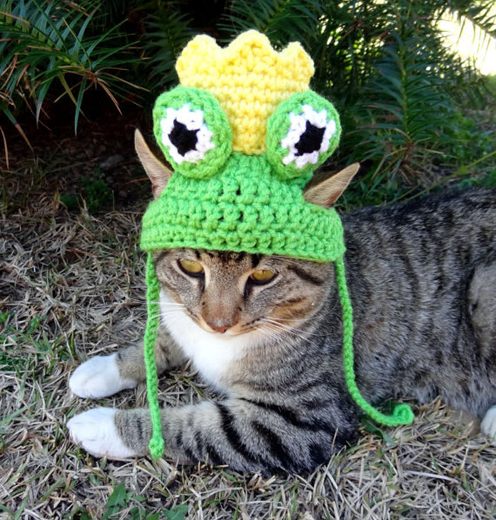 crochet-handmade-hats-pets-iheartneedlework-5__700