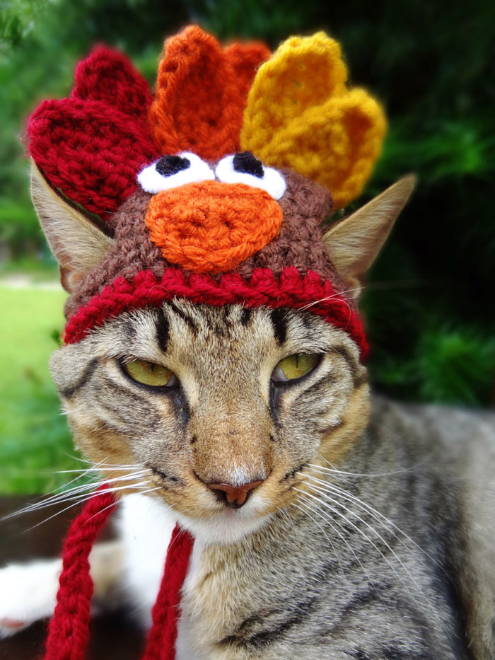 crochet-handmade-hats-pets-iheartneedlework-8__700