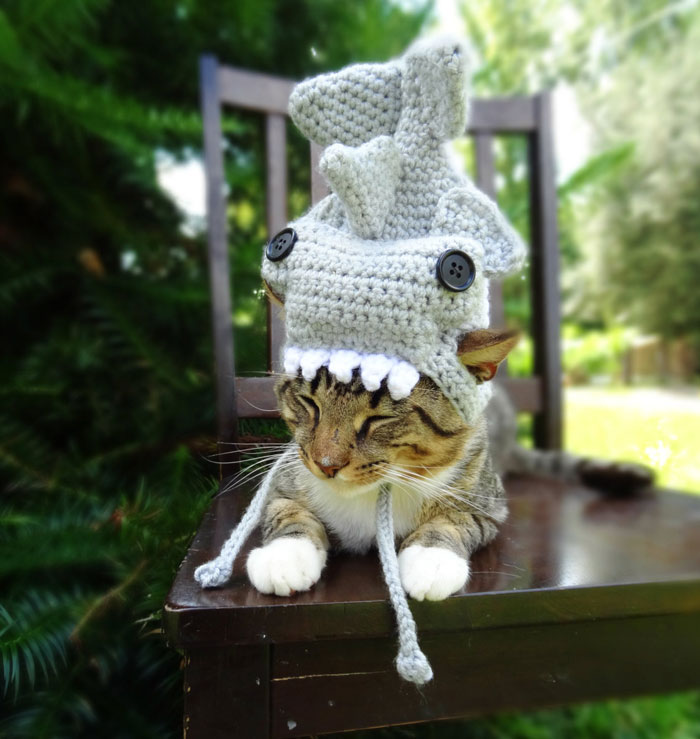 crochet-handmade-hats-pets-iheartneedlework-9__700