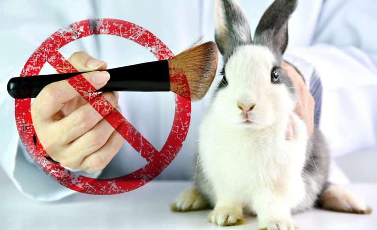 Entenda A Diferença Entre Cruelty Free E Vegano Moda Para Homens 4566