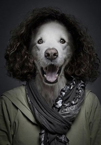 Underdogs Por Sebastian Magnani Moda Para Homens